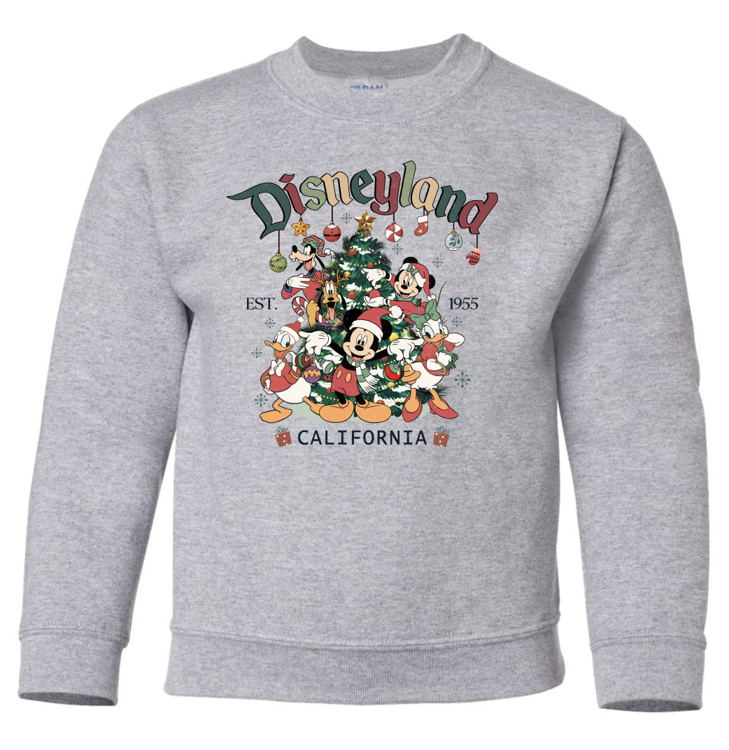 Disneyland Christmas KIDS