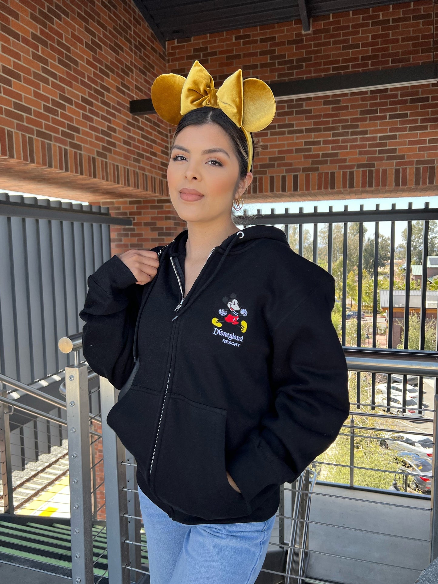 Disneyland Resort zip up Hoodie (2 color options)