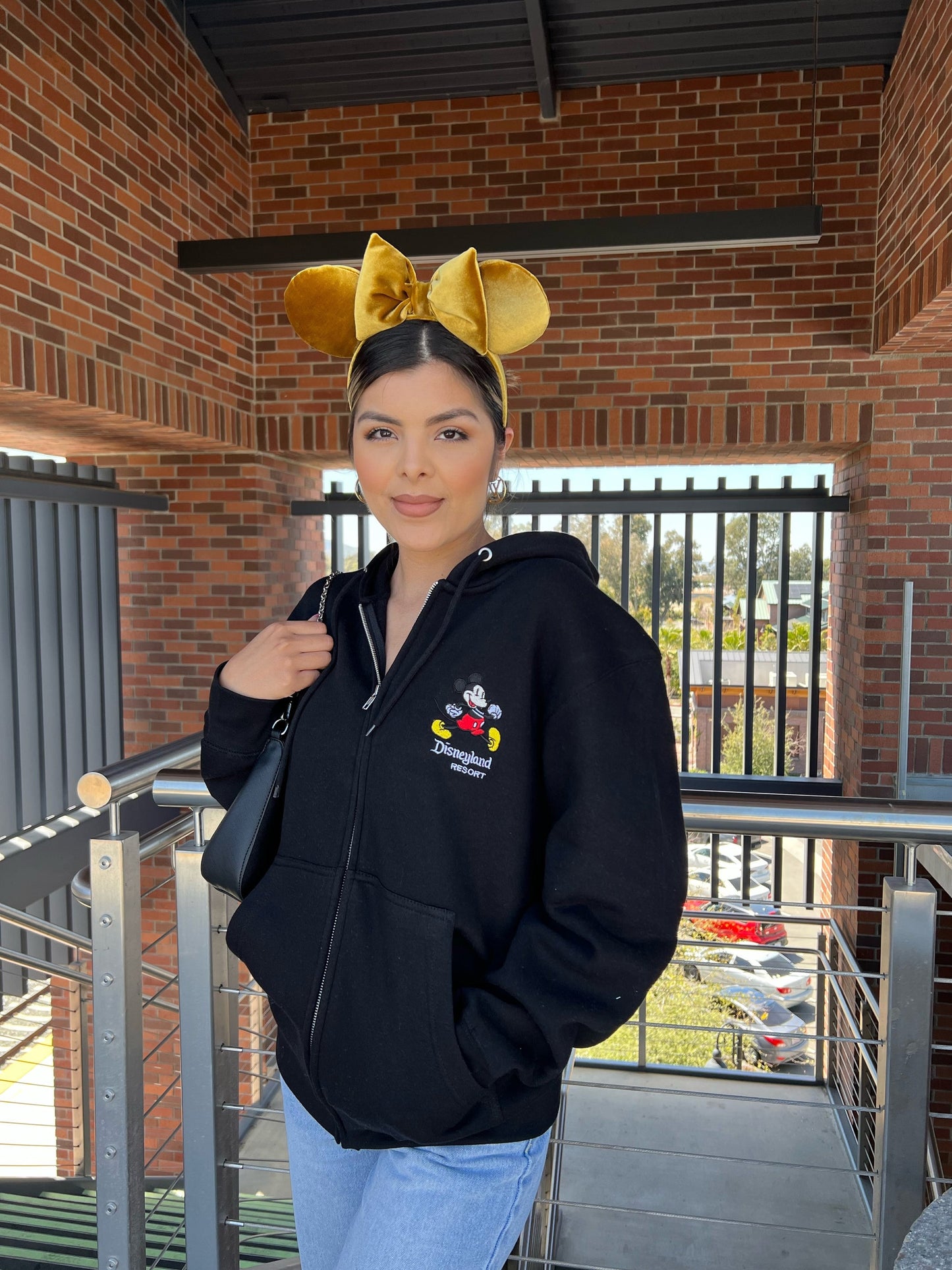 Disneyland Resort zip up Hoodie (2 color options)