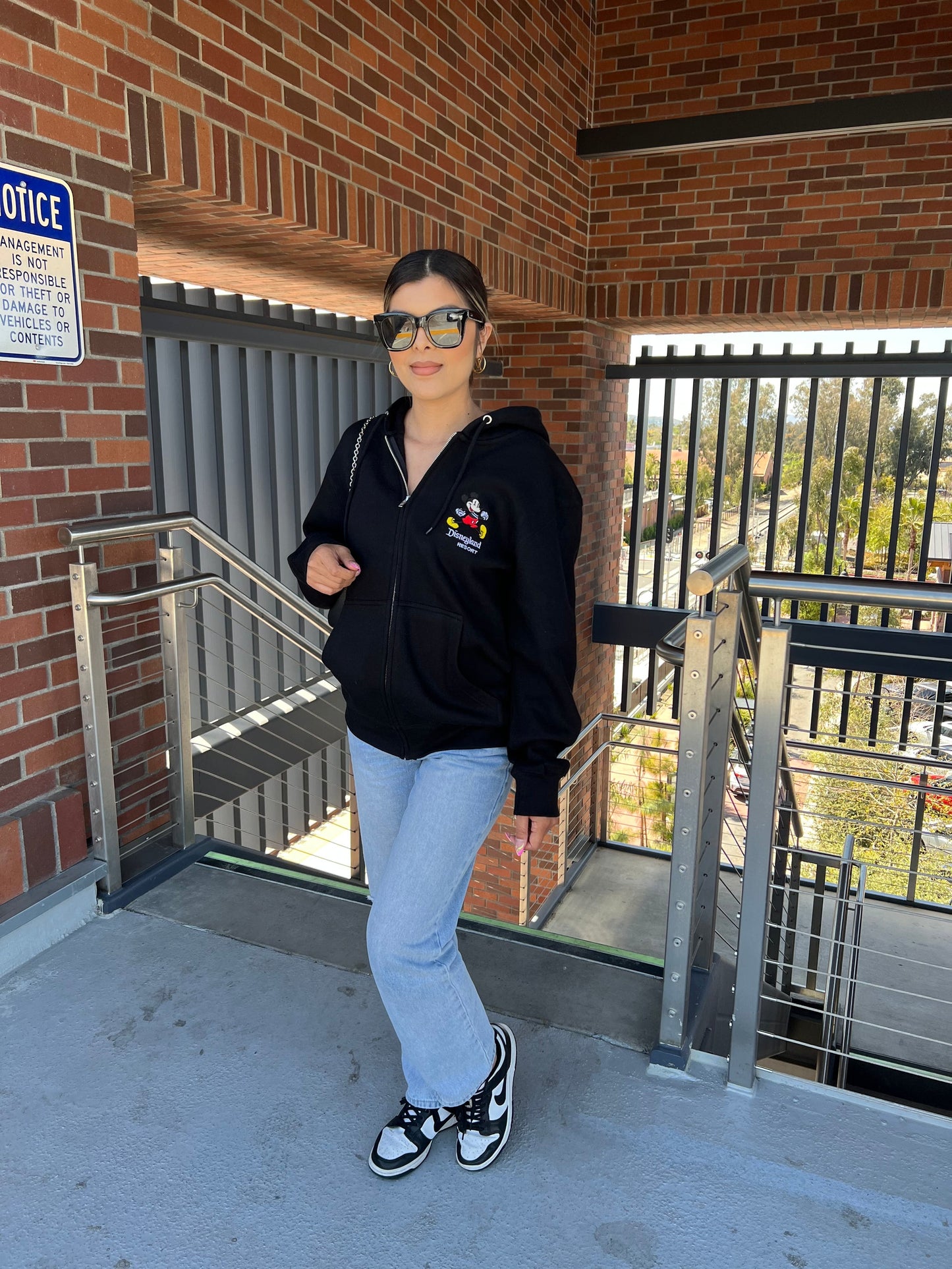 Disneyland Resort zip up Hoodie (2 color options)
