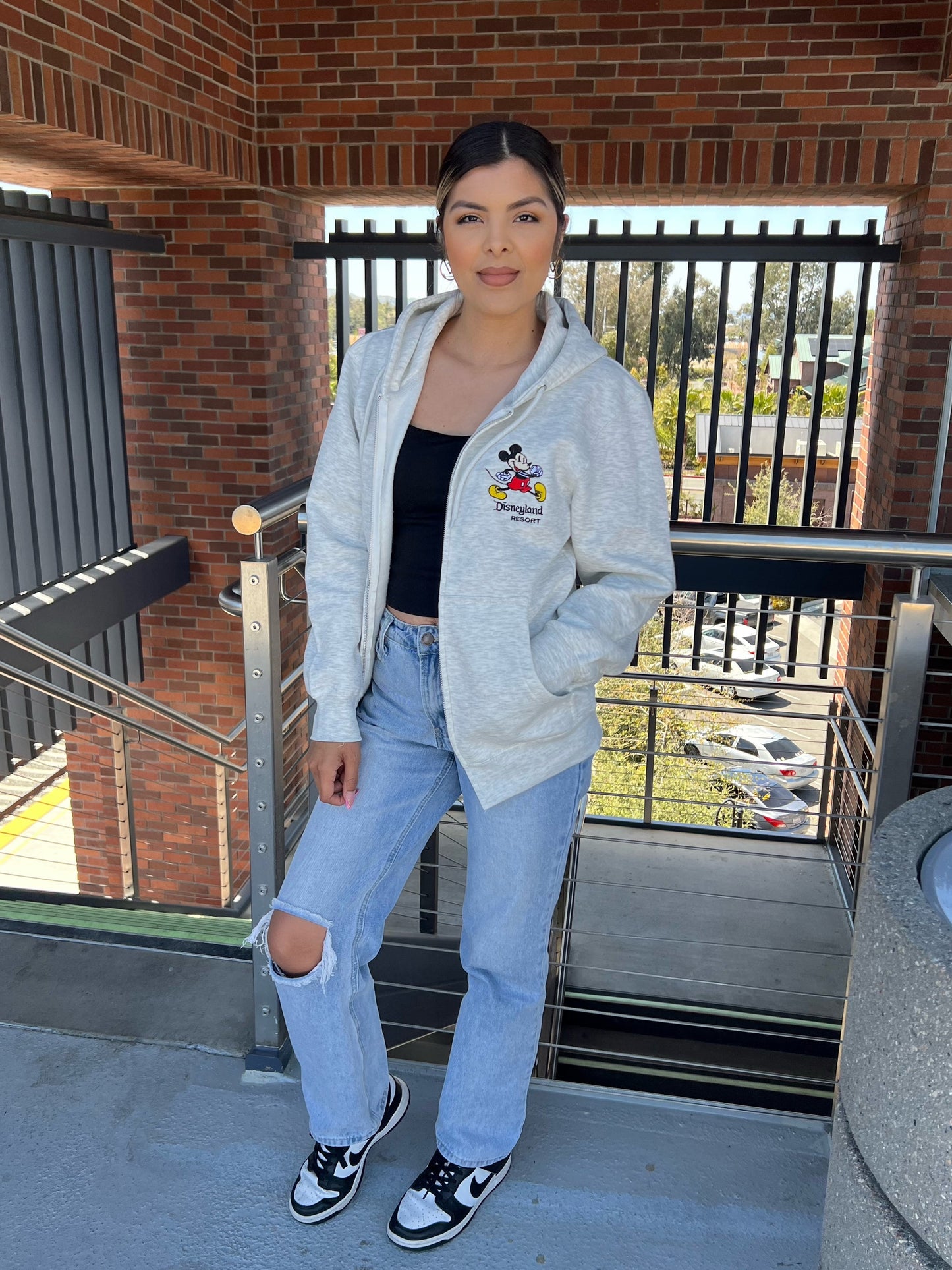 Disneyland Resort zip up Hoodie (2 color options)