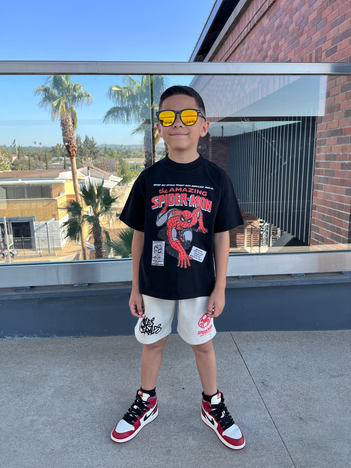 The amazing Spider-Man shirt